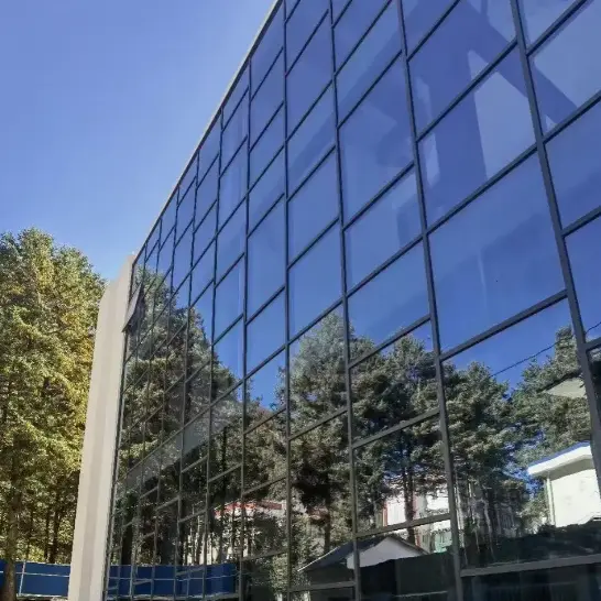 ఫ్రేమ్డ్ కర్టెన్ వాల్స్